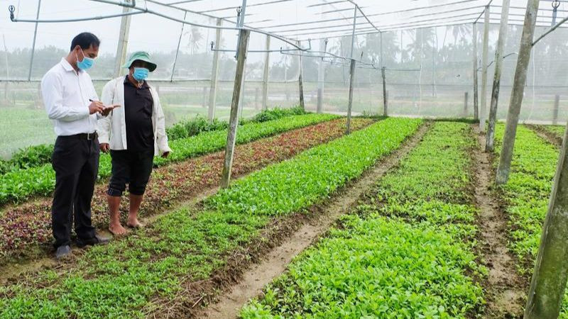 Đầu tư và cải tạo cơ sở hạ tầng trang trại để đáp ứng các yêu cầu kỹ thuật của tiêu chuẩn GAP