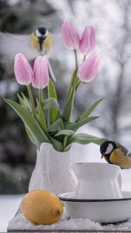 Decor bàn trà cùng tulip hồng vào mùa đông, ảnh xinh ấn tượng