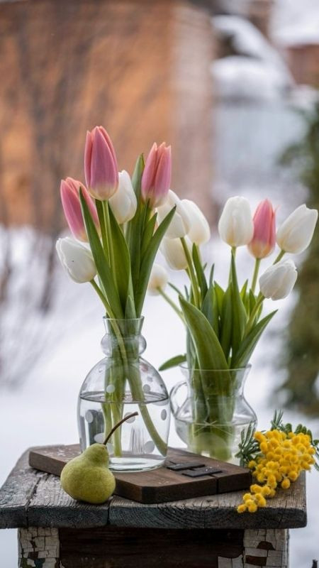 Decor bàn uống trà xinh với tulip hồng và trắng