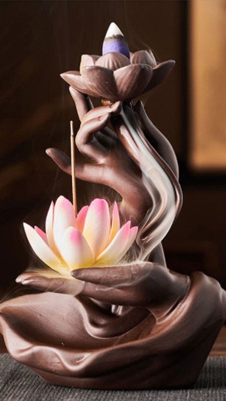 Đóa hoa sen hồng nở đầy đặn trên mặt nước