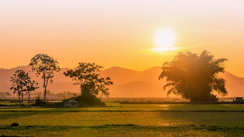 Đồng quê Việt Nam vào buổi chiều tà