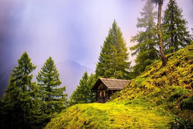 Dòng suối nhỏ uốn lượn qua thảo nguyên xanh rì, ảnh cây xanh suối