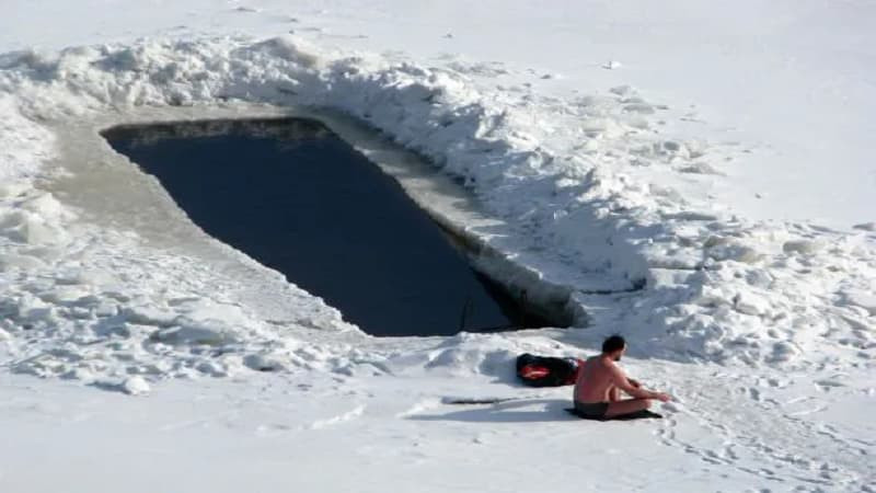 Đột biến gen tạo nên sự khác biệt về khả năng thích nghi và sinh tồn