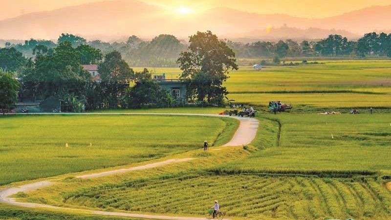 Đường làng ở nông thôn yên bình buổi chiều