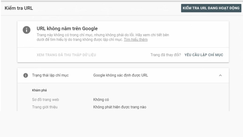 Giao diện công cụ Kiểm tra URL trong Google Search Console để kiểm tra trạng thái Index của trang web