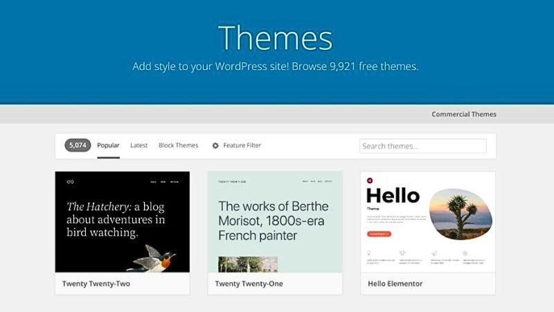 Giao diện website WordPress với các thành phần của theme