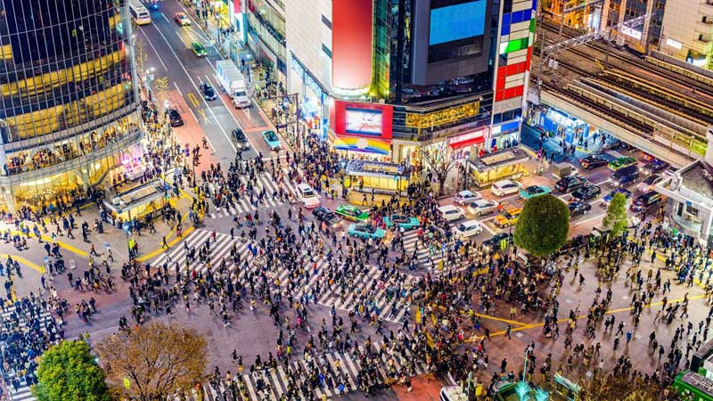 Góc nhìn cận cảnh hơn về một tòa nhà cao tầng với nhiều ô cửa sổ sáng đèn tại Tokyo đêm