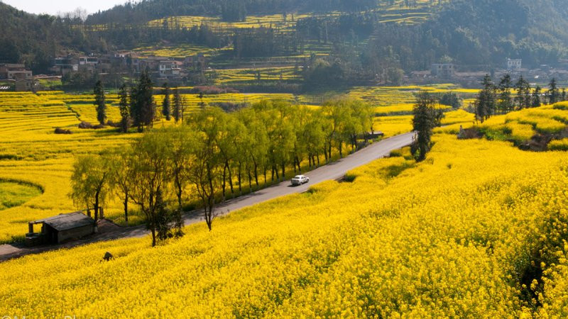 Góc phố hoặc con hẻm nhỏ được tô điểm bởi những chậu hoa hoặc cây leo nở rộ