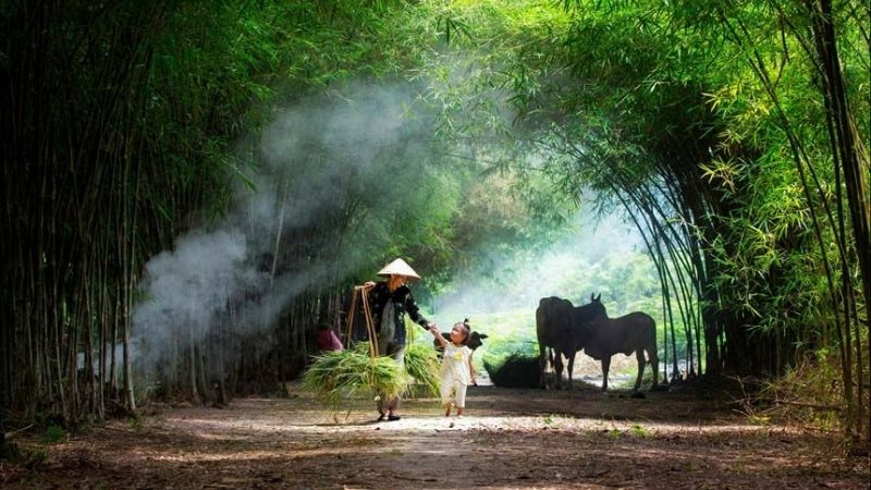 Hai bà cháu đang đi bộ trên con đường đất nhỏ dẫn ra cánh đồng lúa xanh