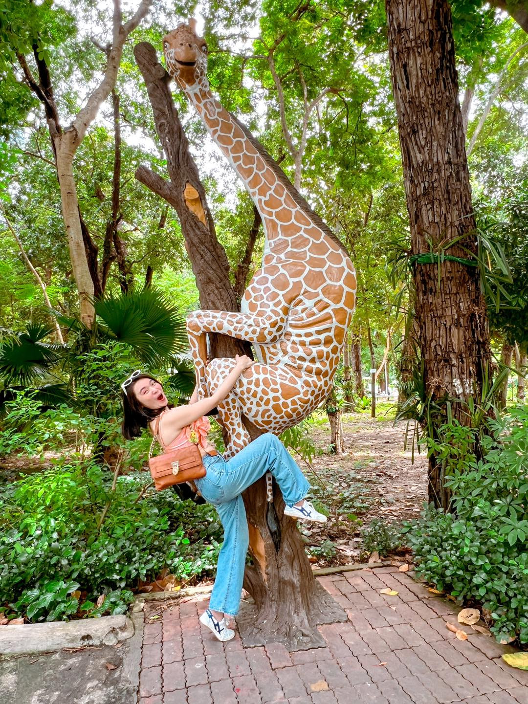 Hai chú hươu cao cổ có tư thế lạ