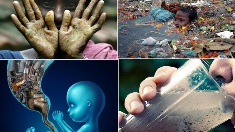 Hậu quả ô nhiễm môi trường nước, cá chết hàng loạt