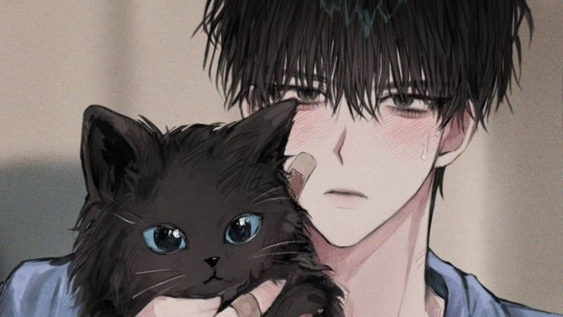 Hình ảnh anime nam đáng yêu bên cửa sổ