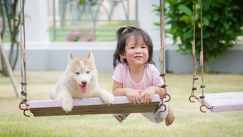 Hình ảnh bé yêu bên cạnh mèo con