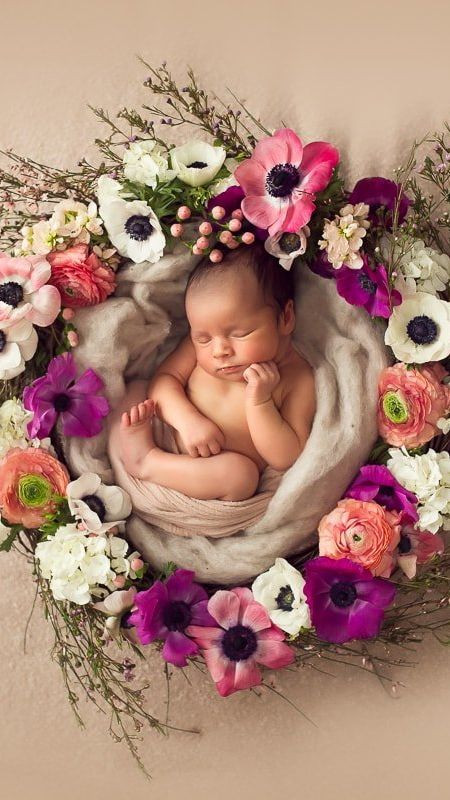 Hình ảnh bé yêu khám phá bông hoa