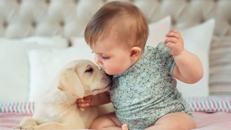 Hình ảnh bé yêu và chú chó nhỏ