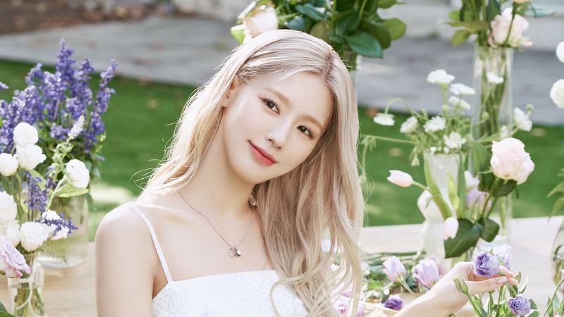 Hình ảnh biểu tượng cho 'Ultimate bias', thành viên hoặc nghệ sĩ được người hâm mộ yêu thích tuyệt đối và không thể thay thế.