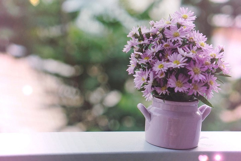 Hình ảnh bó hoa thạch thảo tím và hoa hồng