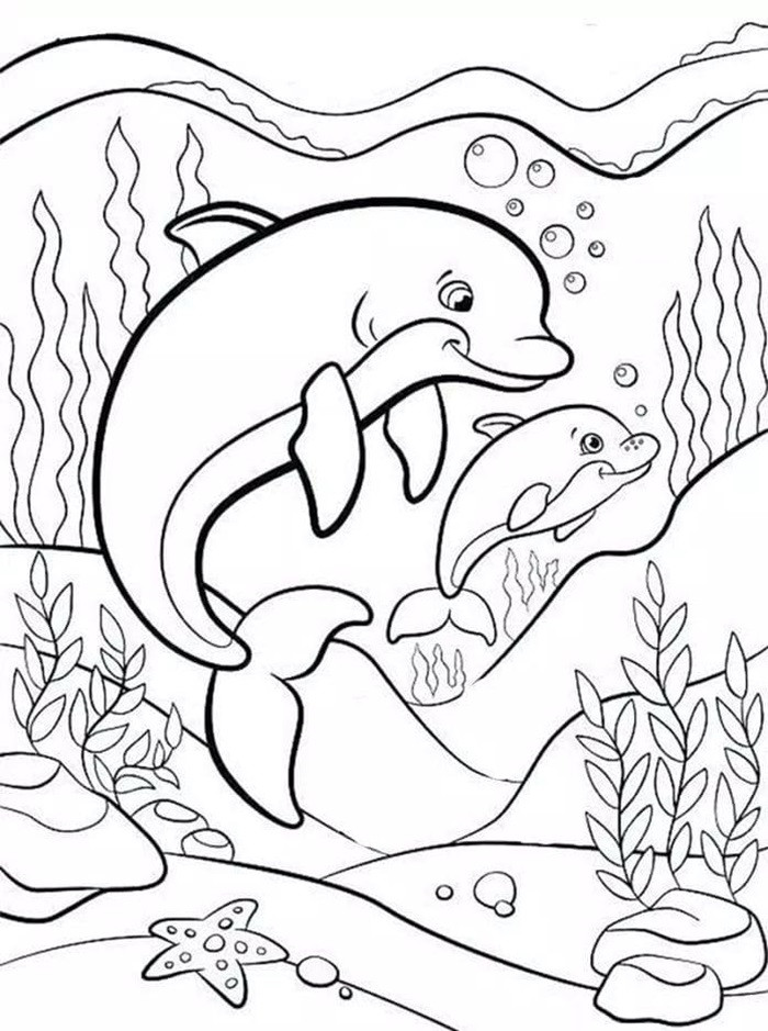 Hình ảnh cá heo mẹ và cá heo con để bé tô màu