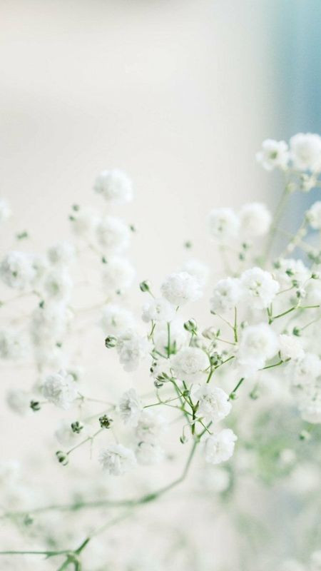 Hình ảnh các hình khối trong suốt xếp chồng trên nền trắng, ảnh màu trắng trong suốt