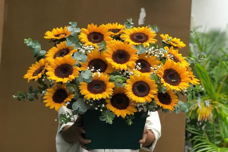 Hình ảnh cận cảnh nhụy và cánh hoa hướng dương