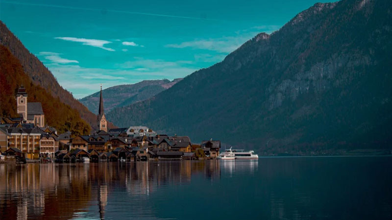 Hình ảnh cảnh buồn đẹp với cây cô đơn dưới ánh sáng đặc biệt