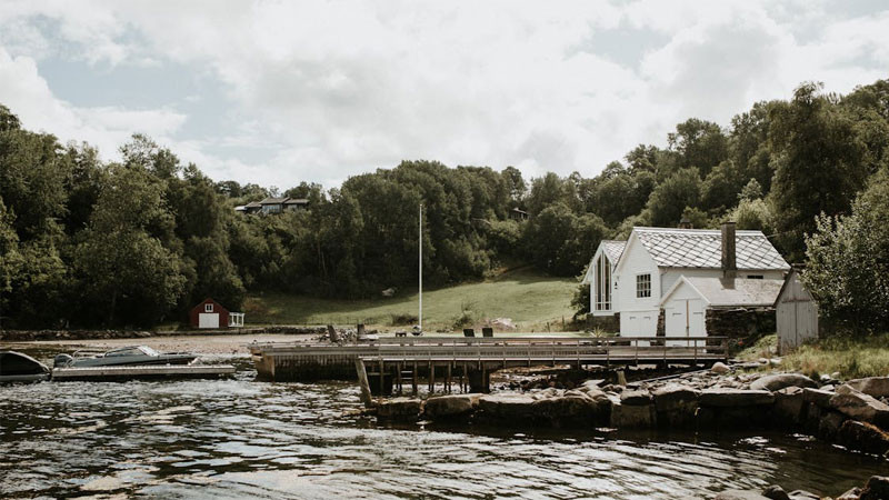 Hình ảnh cảnh buồn phong cảnh với những ngọn cây khẳng khiu