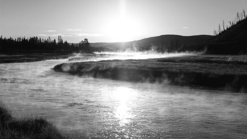 Hình ảnh cảnh buồn trắng đen dưới cây cầu