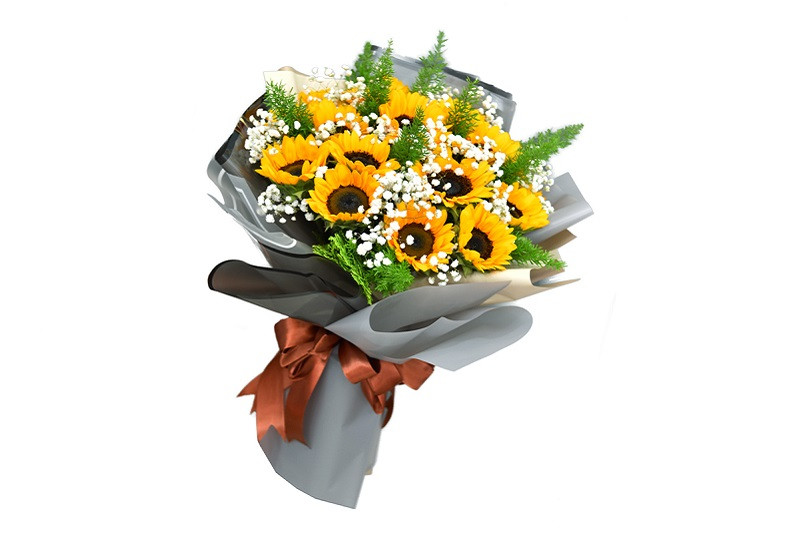 Hình ảnh cánh đồng hoa hướng dương rực rỡ dưới nắng