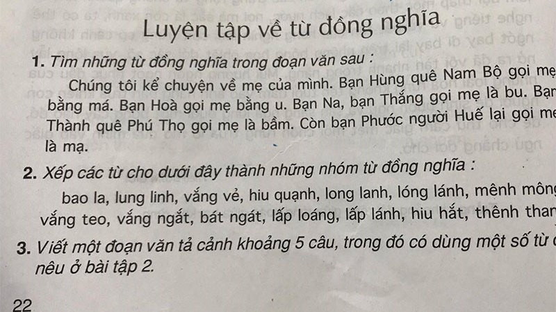 Hình ảnh cánh đồng lúa chín vàng óng, ví dụ điển hình về phép thế bằng từ đồng nghĩa trong văn bản