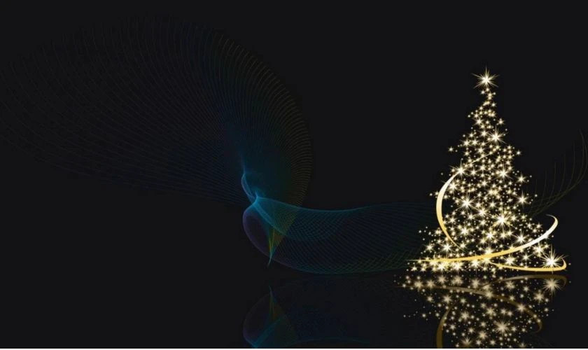 Hình ảnh cây thông Noel cao lớn được trang trí hoàn toàn bằng đèn LED