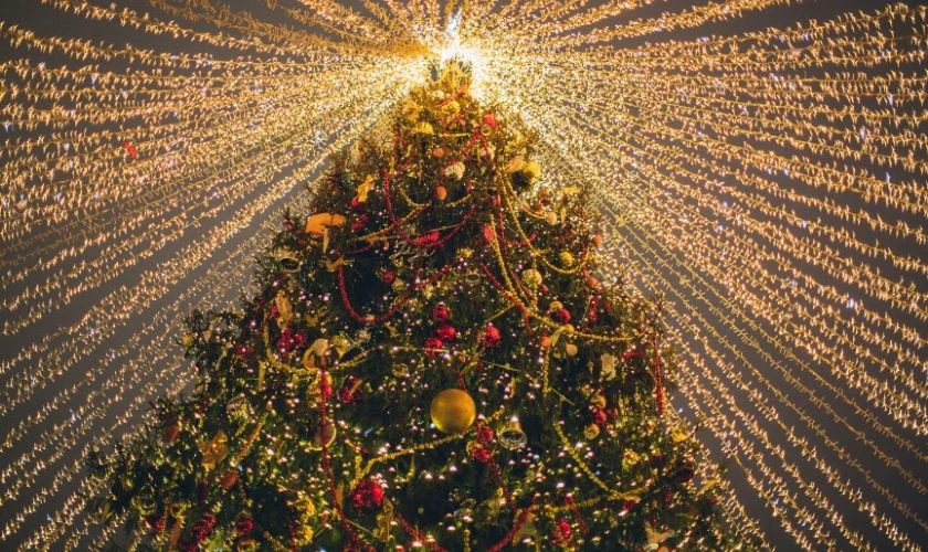 Hình ảnh cây thông Noel được trang trí dày đặc bằng đèn LED màu vàng
