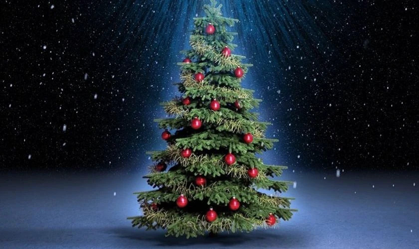 Hình ảnh cây thông Noel được trang trí đơn giản với ánh đèn vàng ấm áp