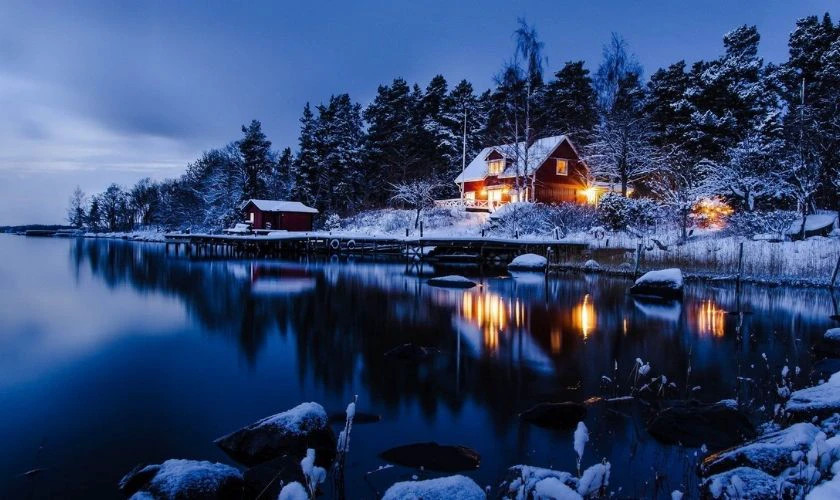 Hình ảnh cây thông Noel và những món quà được xếp bên cạnh