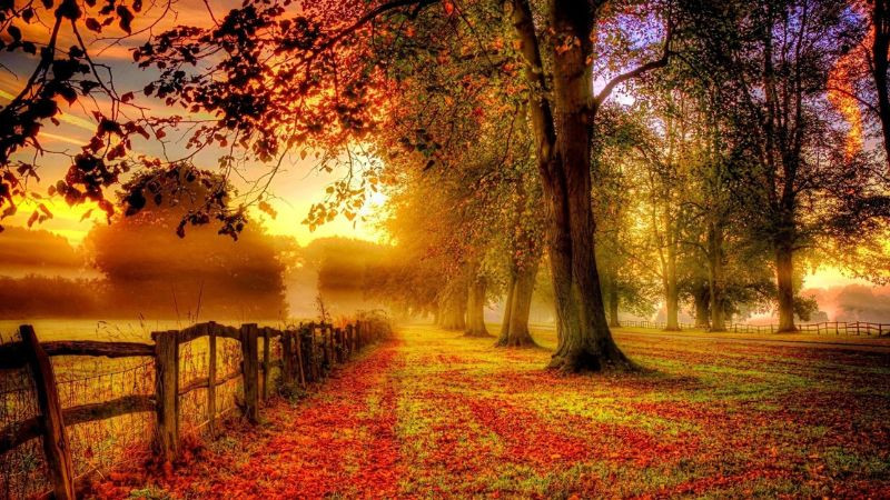 Hình ảnh chiều tà buồn hiu hắt, thể hiện sự kết thúc và tâm trạng buồn