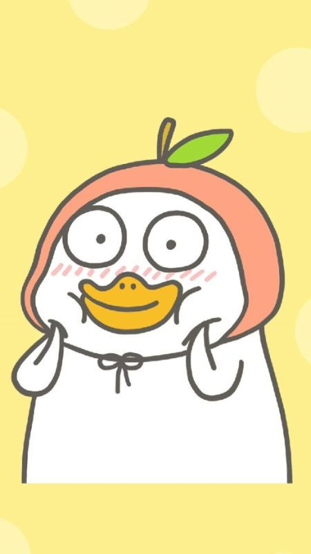 Hình ảnh chú vịt trắng dễ thương bơi lội, nền ảnh màu trắng