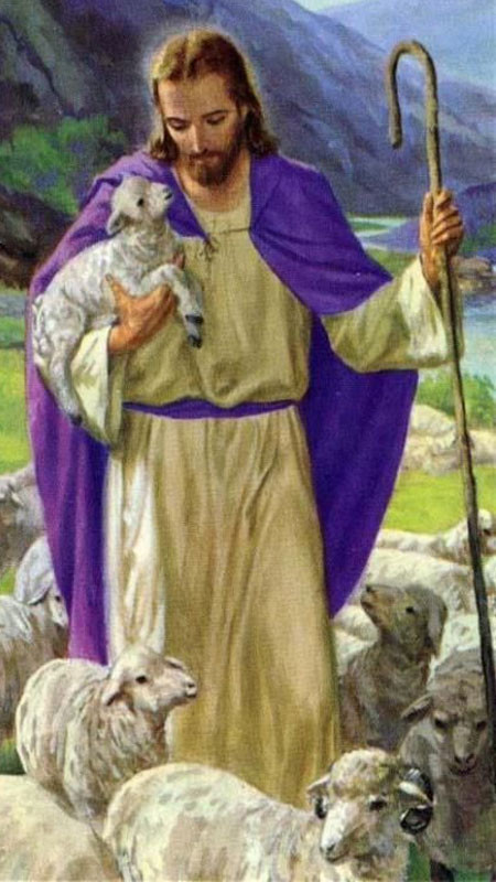 Hình ảnh Chúa Giêsu Mục Tử bế một chú cừu non