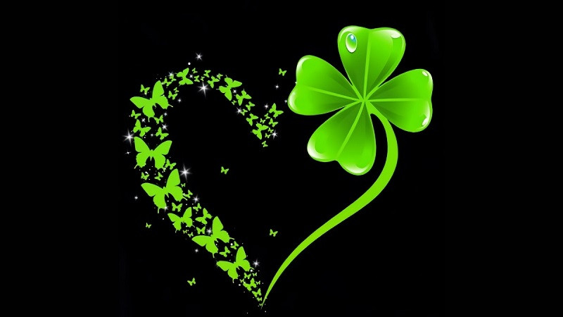 Hình ảnh cỏ 4 lá xanh ngắt trên bãi cỏ