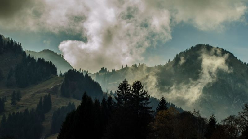 Hình ảnh cô đơn bầu trời đêm đầy sao nhìn từ mặt đất