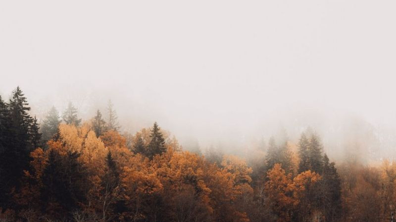 Hình ảnh cô đơn con thuyền neo đậu một mình trên mặt nước yên ả