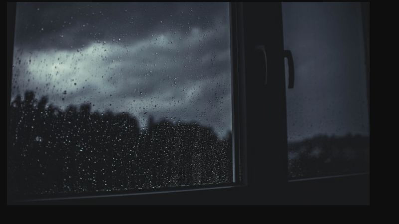 Hình ảnh cô đơn giọt mưa đọng trên lá cây