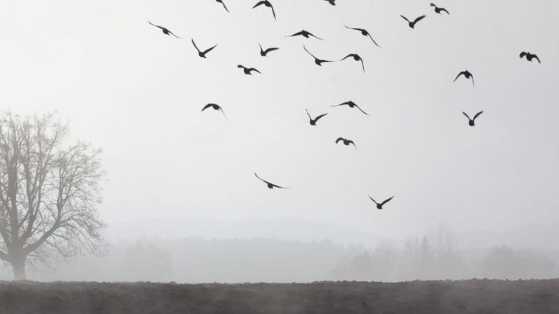 Hình ảnh cô đơn một con đường vắng dưới ánh đèn vàng về đêm