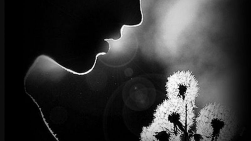 Hình ảnh cô đơn một người ngồi dưới gốc cây đen trắng