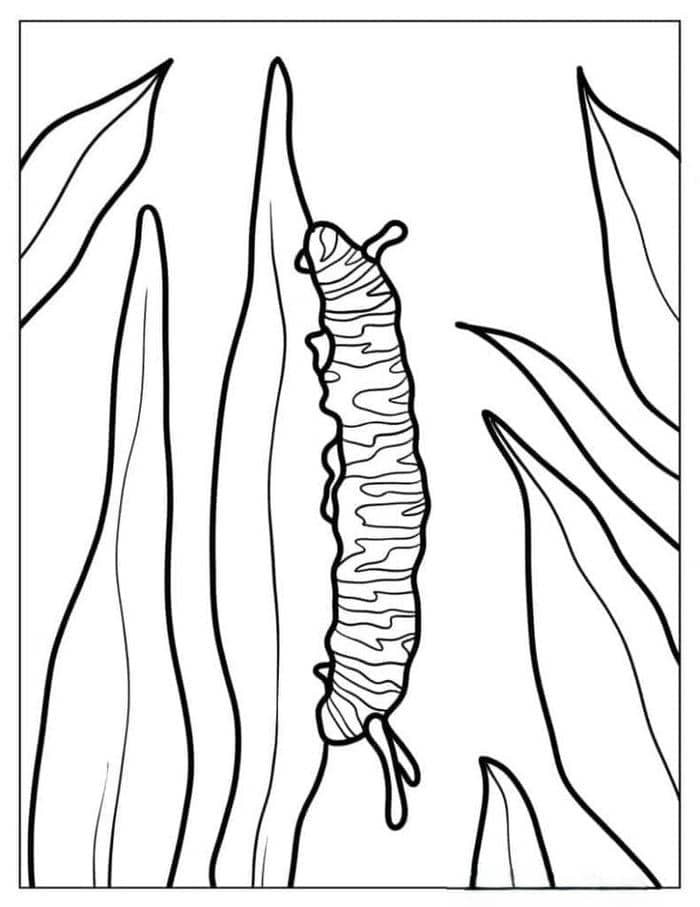 Hình ảnh con sâu tranh tô màu đơn giản cho bé