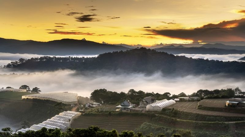 Hình ảnh Đà Lạt 4K: bình minh trên những thửa ruộng bậc thang xanh