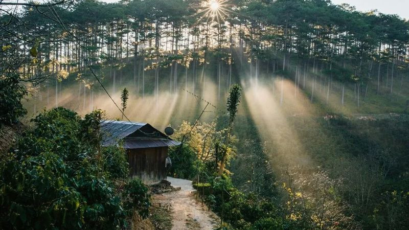 Hình ảnh Đà Lạt 4K: góc phố yên bình với kiến trúc Pháp cổ