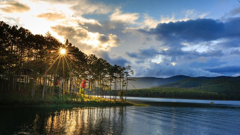 Hình ảnh Đà Lạt 4K: ngôi nhà gỗ nhỏ giữa rừng thông