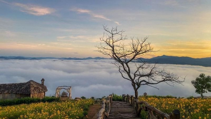 Hình ảnh Đà Lạt lãng mạn: con đường đất đỏ giữa rừng thông