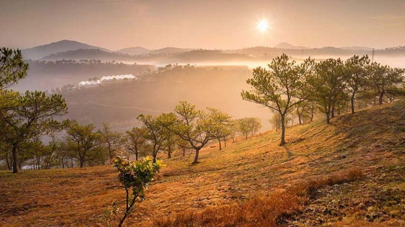 Hình ảnh Đà Lạt lãng mạn: con đường dốc với hoa và cây xanh