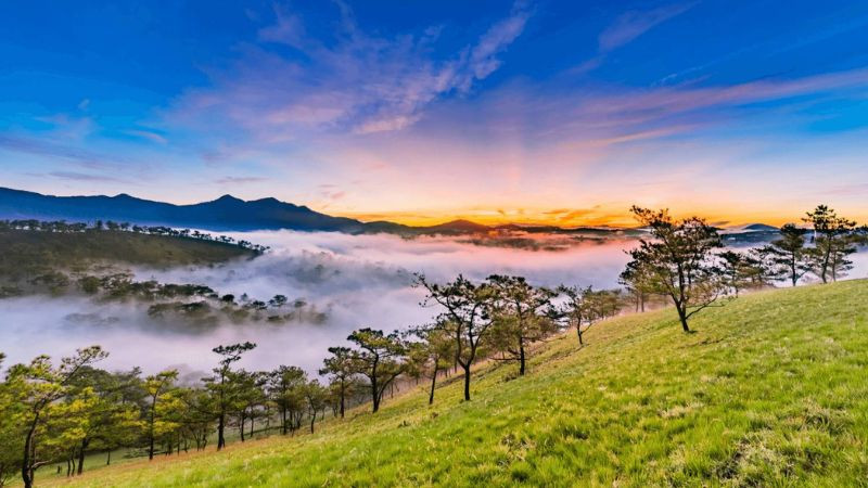 Hình ảnh Đà Lạt lãng mạn: ngôi nhà nhỏ ven đồi chìm trong sương