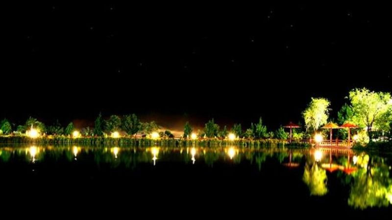 Hình ảnh Đà Lạt: một con phố lên đèn về đêm